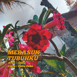 Merasuk Tubuhku