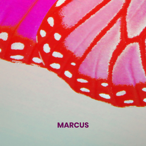 Marcus