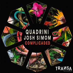 Complicaded (Extended)