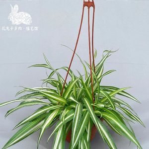 《Cyber Blitz in the Future Tech Realm》7