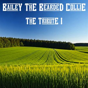 My Heart is Full of Beardie Hair