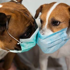 Medicated Kisses (feat. Obie Trice and Bizarre)