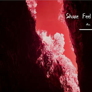 Shake Feel