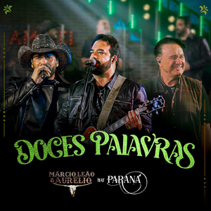 Doces Palavras (Ao Vivo) [feat. Paraná]