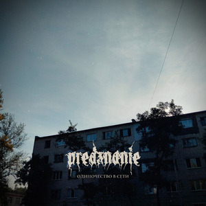 Одиночество в сети