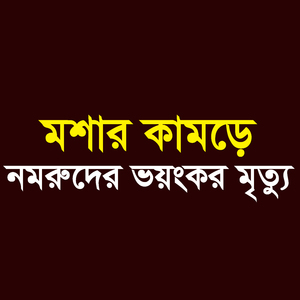 মশার কামড়ে নমরুদের ভয়ংঙ্কর মৃত্যু