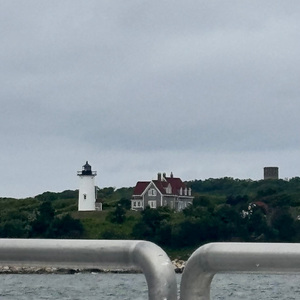 Horses Without Reins Tend to Wander