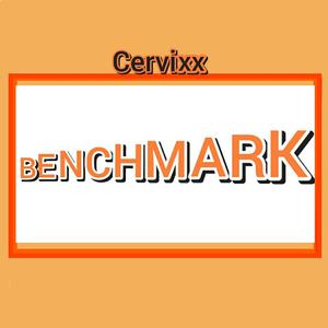 Benchmark
