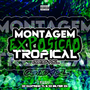 Montagem Exposição Tropical