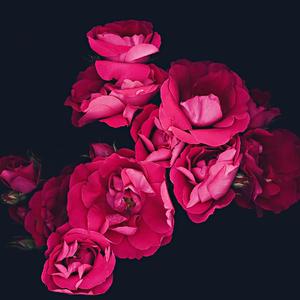 从没后悔遇见你（Prod.by 66Hz）