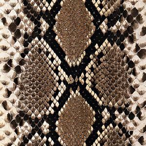 snake(中文填词版)