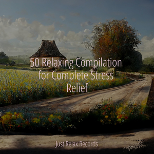 Silent Shroud Serenity