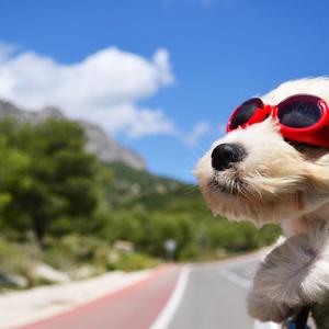 钢琴白噪音里的入眠序曲_1