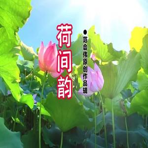 荷间韵