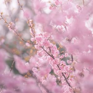 口水旋律1（Miracle remix）