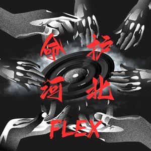 命护河北Flex