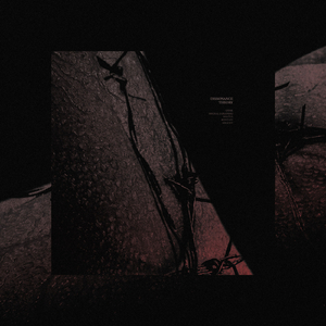 Shalashaska (Original Mix)