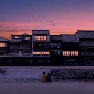 밤이 아쉽잖아요