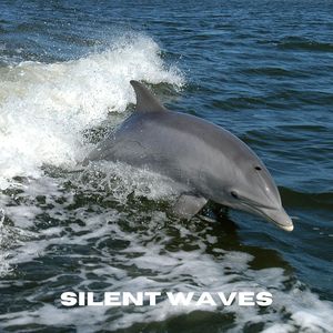 Ethereal Drift (Loopable, No Fade)