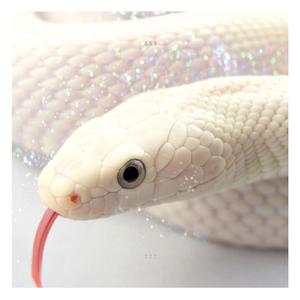 Paradise (feat. Matt Jr Goku)