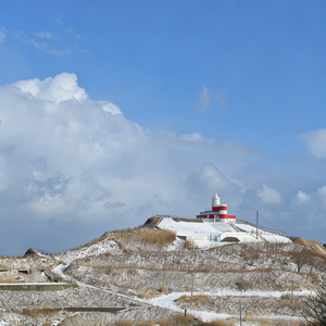 你的不完美也是你的可爱之处