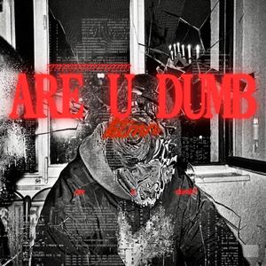 are u dumb?