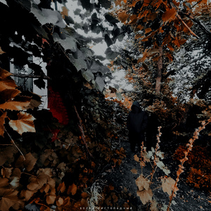 Жёлтыми листами