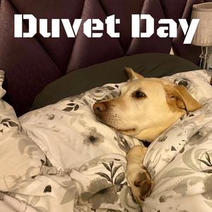 Duvet Day