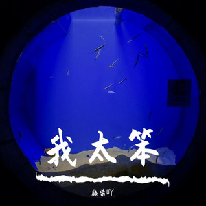 我太笨