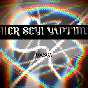 Her Şeyi Yaptım