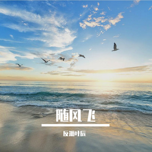 随风飞 伴奏