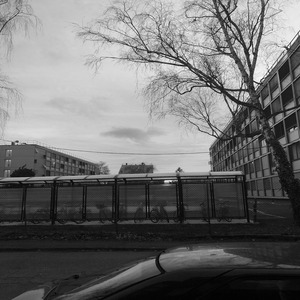 ravin (techno remix)