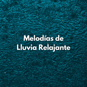 Meditación Bajo La Lluvia