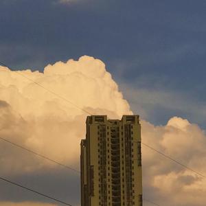 她说每个人心中都住着一条狗