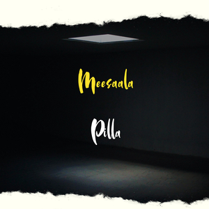 Meesaala Pilla