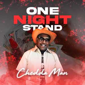 ONE NIGHT STAND