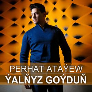 Yalnyz goydun (Perhat Atayew)