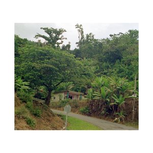 Salsera