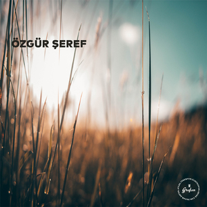 Yeni Bir Sevda Başımdan