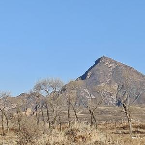 想你想呆丢了魂