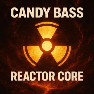 Reactor Core