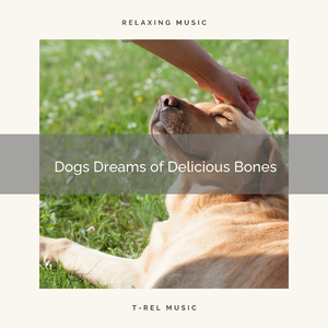 Perfect Songs for Pets Dreaming of You