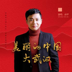 美丽的中国大武汉