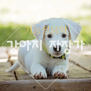 따뜻한 햇살아래서 (모닥불 소리)