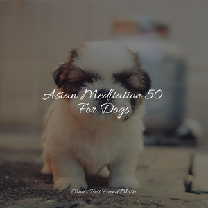 Meditative State of Mind