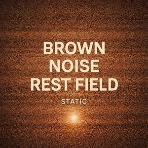 Brown Noise Rest Field (Static) IX