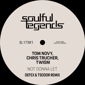 Not Gonna Let (Defex & Tsodor Remix Radio Edit)