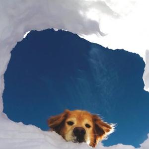 关忆北 高潮翻唱（翻自 宋冬野）