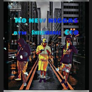 No New Niggas (feat. Omog Ceo & Sheeshdamac)