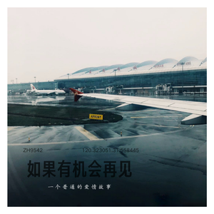 如果有机会再见